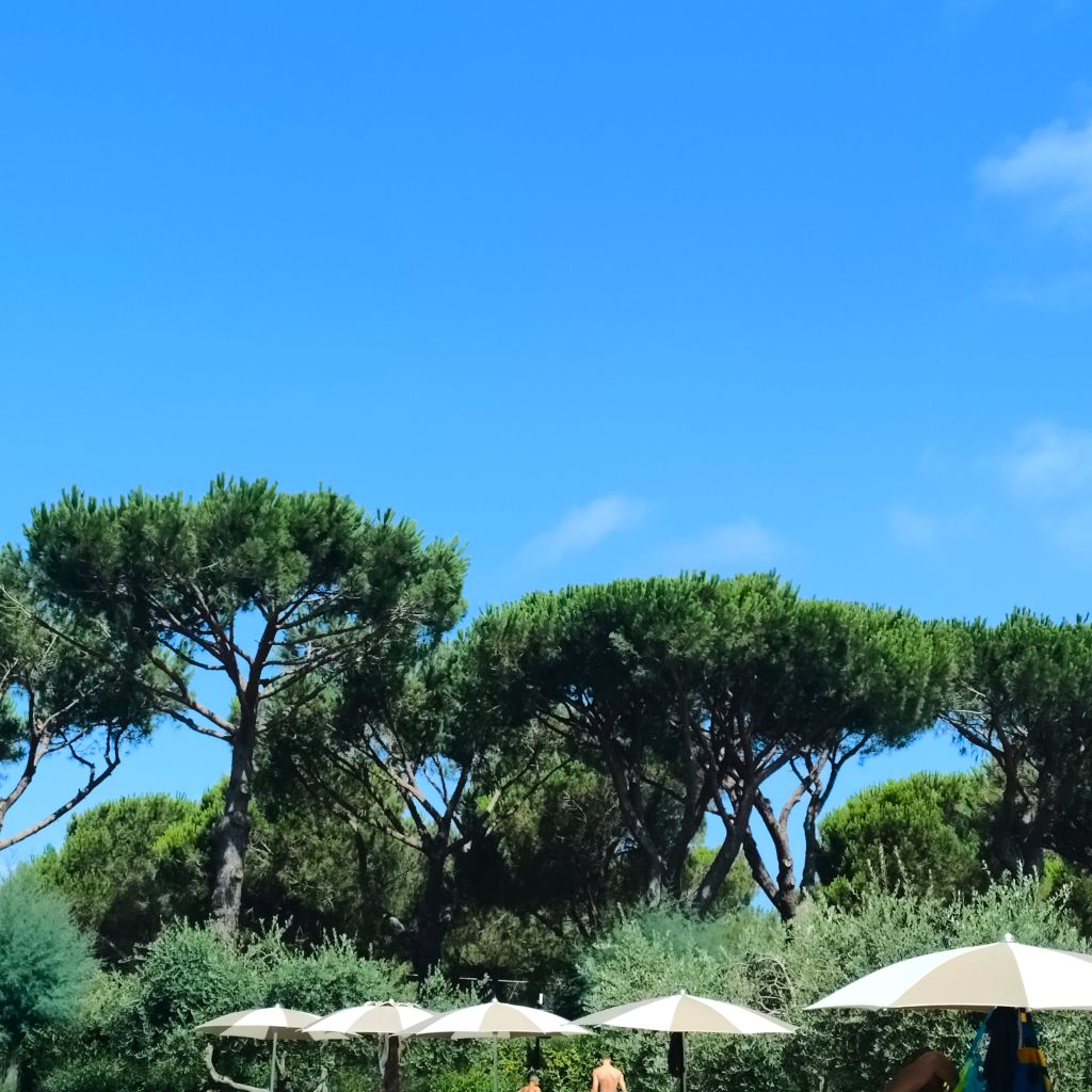 Camp_Under_Trees