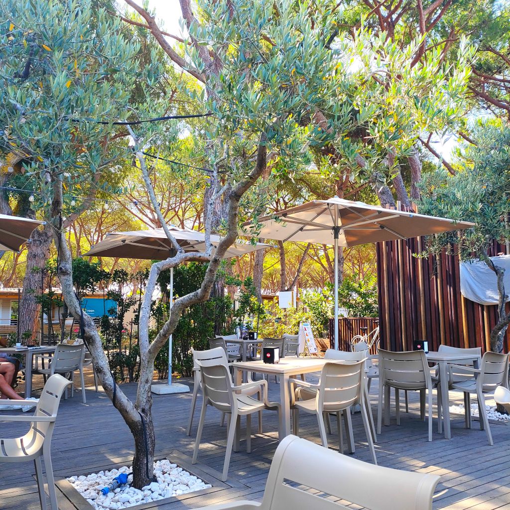 Coffee_shop_Camping